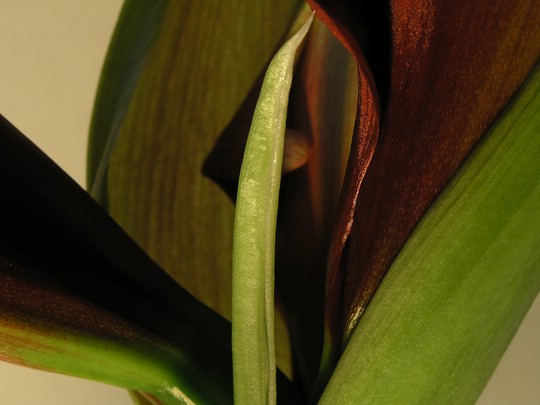 Bild 7