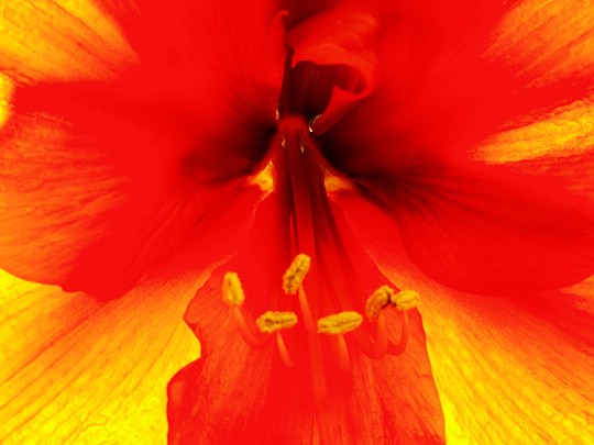 Bild 17