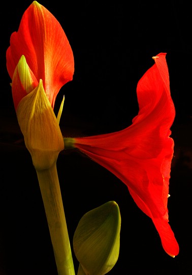 Bild 18