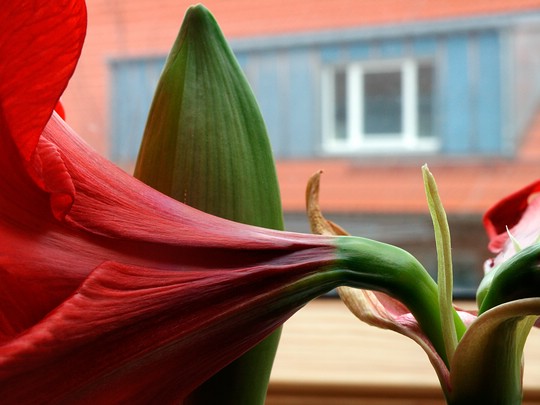 Bild 24