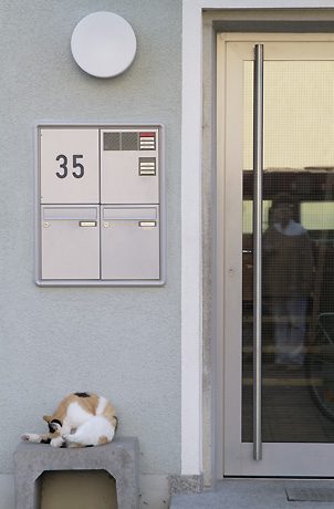 Bild 198