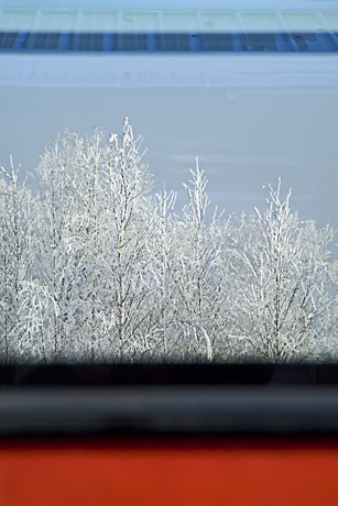 Bild 95