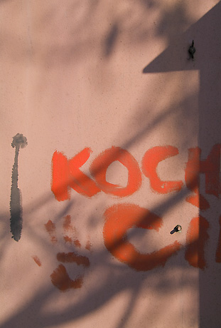 Bild 51