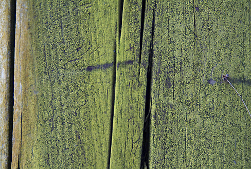 Bild 85