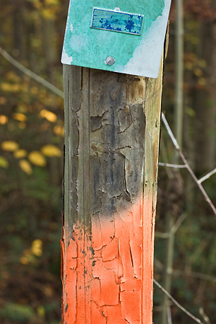 Bild 130